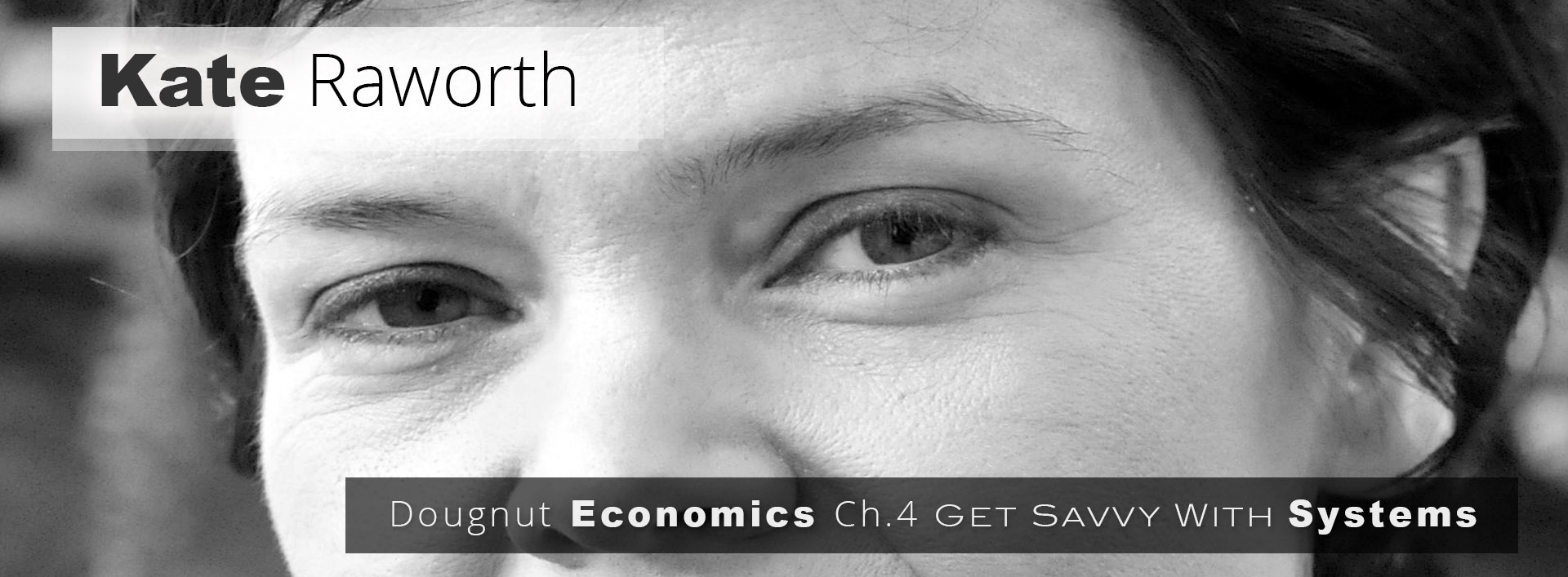 Kate-Raworth__Dougnut-Economics__Ch.4-Get-Savvy-With-Systems