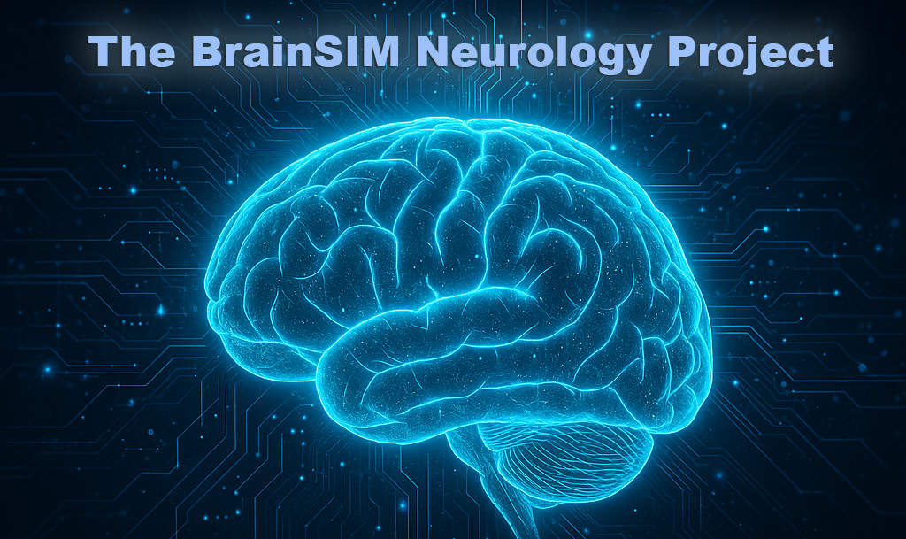 The BrainSIM Neurology Project